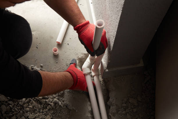 Best Plumbing Inspection Services  in Leesburg, FL